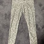 Evolution and creation leggings Photo 0