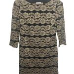 Eliza J golden floral scalloped lace mesh overlay shift cocktail dress size 10p Photo 0