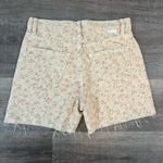 Boyish Monty shorts in Desert Rose Photo 3