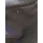 Affliction Fire Water  Women's  Bird Of Prey Black Silver Foil Design Tee Medium Photo 10