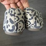 Lucky Brand Cloeey Leopard Suede Slide Mule Slip On 10M Photo 3