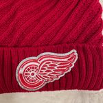 Detroit Redwings glitter logo Red Pom Photo 1
