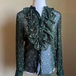 H&M  green ruffle shear long sleeve button up shirt | 2 Photo 0