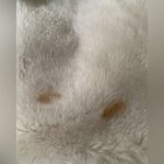 wilson's leather ‎ Chocolate Brown Faux Fur Lined Jacket Belted Womens Size Medium Photo 12