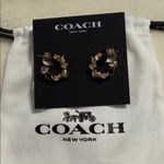 Coach  Gold Star Heart Mix Huggie Earrings Photo 3
