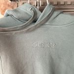 Gymshark HEAVYWEIGHT LOOPBACK SWEAT HOODIE, SMALL, Duck Egg Blue Photo 1