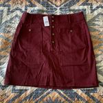 Loft NWT  outlet skirt Photo 0