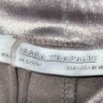 ZARA  Velvet Dress (brownish silver) Photo 1