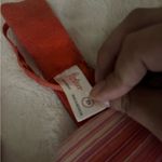 Flirtitude  Red and Pink Striped Bra Photo 1