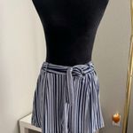 Robert Louis Women’s Striped Tailored Shorts Blue and White Size Petite Large Photo 0