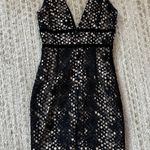 Bardot Lace Overlay Cocktail Dress Photo 2
