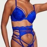 Victoria's Secret Victoria’s Secret Fishnet String Cheeky Panty and Garter Photo 0