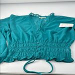 Lily Star  Teal Blouse with Ruffle Details Photo 14