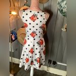 Ladybug Polkadot White Dress Small Photo 4