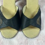 Capezio  Black Women's Heels with Mesh Detail Photo 2