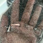 Vintage Prom Dress Black Size undefined Photo 10