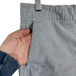 Ann Taylor  Devin City Shorts in Blue/White Pinstripe Seersucker Size 6 Photo 5