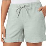 Briggs New York Briggs Linen Blend Mint Green Shorts Women’s Large Photo 0