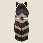 Adelyn Rae  Lace Bodycon Dress M Illusion Mesh Black & Nude Evening Bandage Style Photo 4