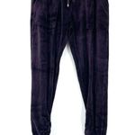 Splendid  Purple Velour Jogger Cinched Ankle Pants Photo 1