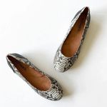 Softwalk  Leather Ballet Flat Women’s Size 8.5 Reptile Embossed Flat Classic Look Photo 5