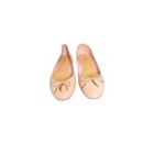 Chloé Chloe NIB Iris Leather Ballet Flats in Blushy Beige Size 38 Photo 2