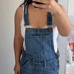 Madewell Skinny Overalls in Kemp Wash (Small) Photo 5