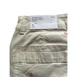 AE Women's Boyfriend Shorts Size 8 Beige Floral Embroidery Frayed Hem Tan Photo 7