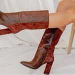 42 Gold NEW Kolby suede snake skin boots Brown Size 9.5 Photo 1