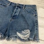 Endless Rose  Shorts Size M Photo 2