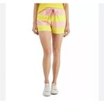 Style & Co  Junior's Knit Shorts Pink and Yellow Stripe Size XL Photo 1