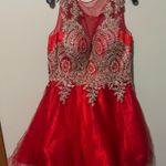 May Queen Red tulle fit & flare Dress Photo 1