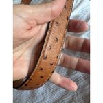 Nocona Belt size 28 with Buckle Brown Cowboy crocodile Leather Horse Rodeo Photo 2
