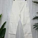 PacSun NWT Off White Cargo Skate Pants Carpenter Loose Fit size 28 NEW Photo 1