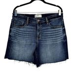 BKE  Womens High Rise Shorts Sz 31 Dark Wash Raw Hem Photo 0