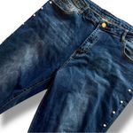 Pearl Embellished Plus Size Skinny Jeans Size 2X Blue Photo 1
