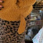 Urban Outfitters Teddy Jacket Photo 3