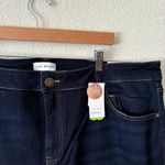 Lane Bryant  Straight Hi-Rise Flex Magicband 22 Photo 2