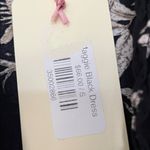 Entro  Black and Cream Floral Dress Photo 1