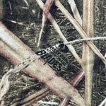 Mossy Oak  Shadow Grass Blades LARGE Womens Green Hunting Tee Shirt T-Shirt Photo 4