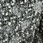 Bali Vintage Corp Black White Boucle Button Up Ruffled Collar Jacket Blazer 6 Photo 4