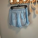 Workshop Republic Clothing NWOT  denim shorts Size M Photo 1