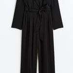 H&M Conscious Black Long Sleeve V-Neck Jumpsuit with Tie Belt - NWT Photo 3