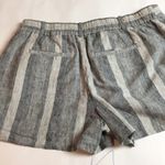 Loft Ann Taylor  ladies shorts  4 Photo 11