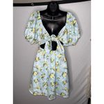 Altar'd State Floral Puffy Sleeve Peasant Babydoll Flowy Dress Fairy Coquette Photo 8