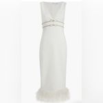 Likely NWOT Corianne Sleeveless White Feather Trim Empire Waist Midi Dress sz 8 Photo 2
