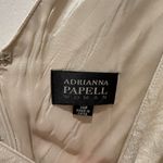 Adrianna Papell Cream and Gray Midi Dress 14W Photo 4