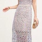 Elliatt Tingle Lace Overlay Midi Dress in Lavender Purple Photo 0