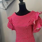 Polka Dot Ruffle Sleeve Dress red and white like new Photo 1