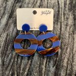 Blue and Brown Striped Earrings Photo 0